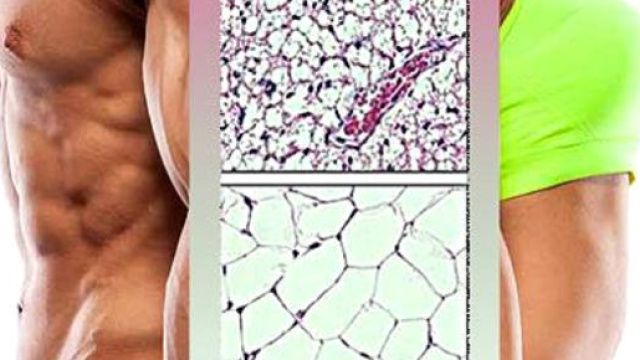 Sostanze mirate a trasformare il grasso bianco in grasso bruno hanno un'azione dimagrante.