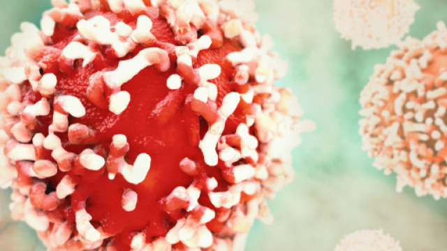 Scoperte le molecole killer delle cellule tumorali