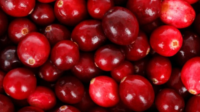 Anche in Italia la frammentazione della sinistra &egrave; il peggior nemico