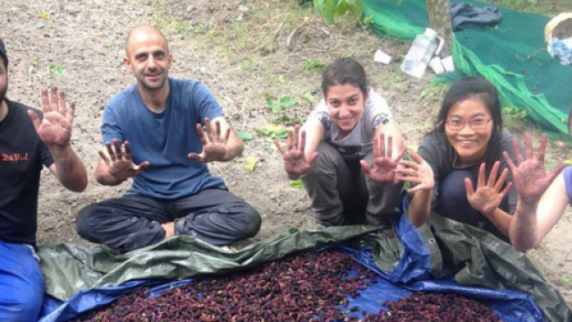 Nido di seta a San Floro in Calabria
