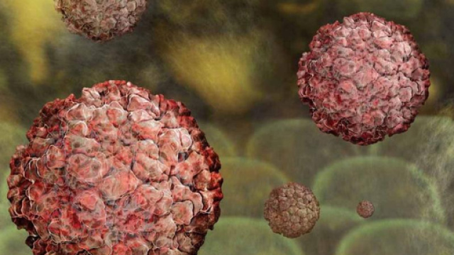 Norovirus: ecco come si &egrave; diffusa l'epidemia di gastroenterite fra ... - lastampa.it