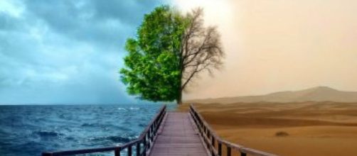 La importancia de conocer el medio ambiente | Ecolog&iacute;a - facilisimo.com