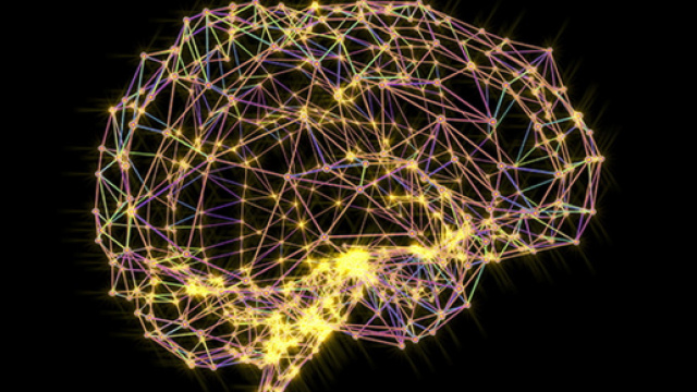 Neuroscienze - Wired - wired.it