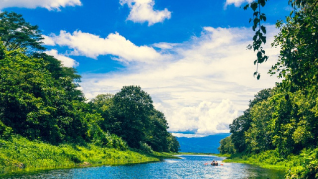 Foto gratis: Honduras, Acqua, Verde, Piante - Immagine gratis su ... - pixabay.com