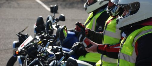 CBT training in Milton Keynes - what you should know... | Call ... - rebeldoggmct.com