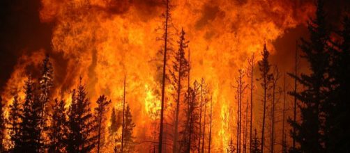 Forest fires (Image credit &ndash; Cameron Strandberg, Wikimedia Commons)