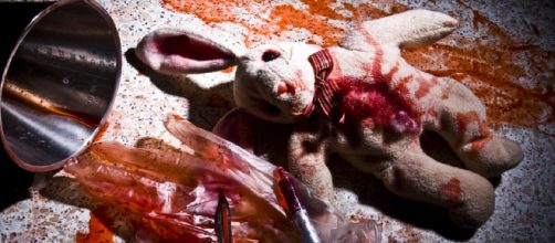 The EU is proposing an increase in animal testing (Norton College via Flikr).