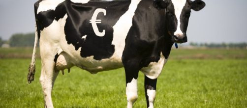 The EU's farming policy is hated &ndash; but what comes next may be worse - theconversation.com