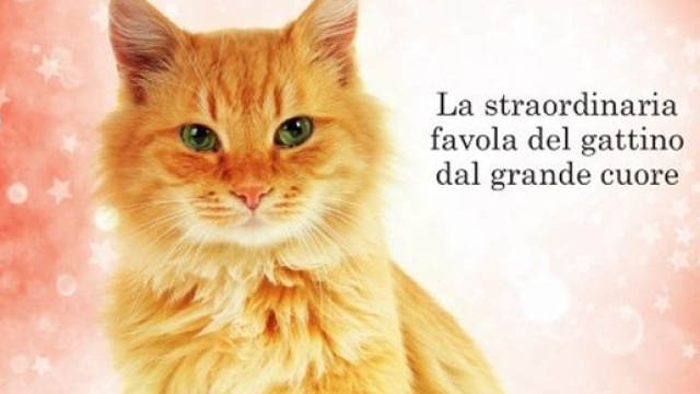 &lsquo;Oliver, il gatto che salv&ograve; il Natale&rsquo;, un libro per le vacanze