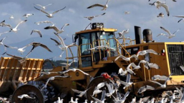 Discarica abusiva a Sabaudia - latinatoday.it