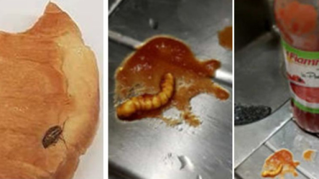 Scarafaggi e vermi nei prodotti confezionati.