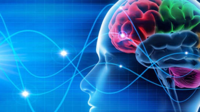 Neuroscienze e libero arbitrio