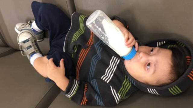 Montreal, il bambino che mangia solo pesche