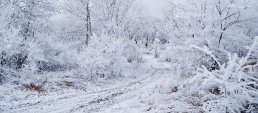 "Things to do with your Christmas Holiday" [photo via public domain pictures]