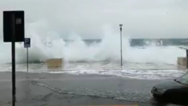 Fortissimo vento sul Salento: cadono alberi e mareggiata.
