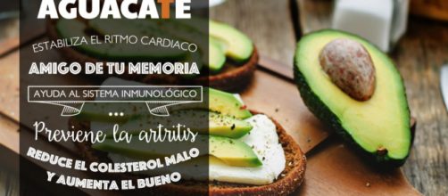 El aguacate es esencial para mejorar la salud