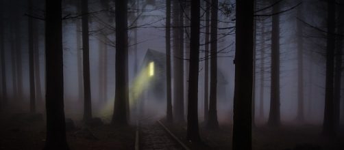 Image via Pixabay By Brigitte Werner