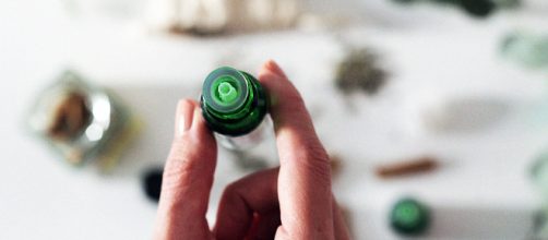 Propiedades del &aacute;rbol de t&eacute; que no conoc&iacute;as