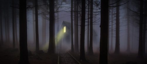 Reality is mystery, vagueness and all there is. (Image werner22brigitte/Pixabay)