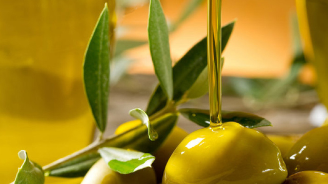 Blog | Olio Traldi - oliotraldi.com