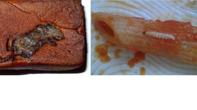 Cibi mischiati anche con cacca di topo e vermi