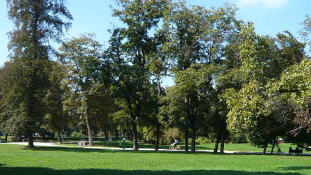 Il parco cittadino, un luogo favorevole all'attivit&agrave; all'aria aperta