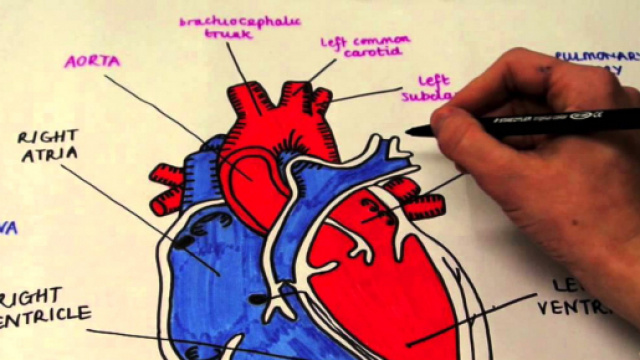 Immagine del sito MedicinaOnline