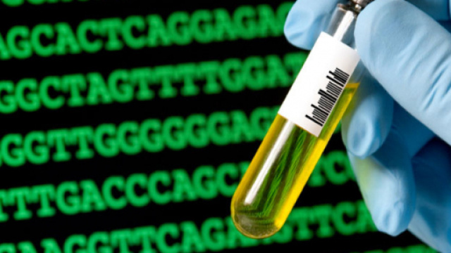 Pakistani Professor Develops Biomarker For Stroke Diagnosis - Pak ... - pakchinanews.pk