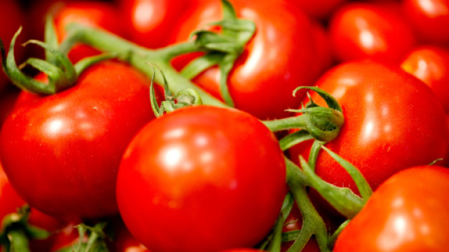 Pomodoro Pachino IGP - Nutrito Magazine - nutritomagazine.it