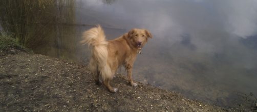 Context is everything. (Image ClareExpley Pixabay)