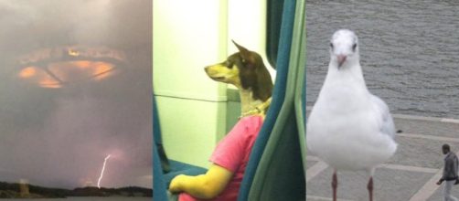 Perfect timing for photos. Image Credit: Blasting News