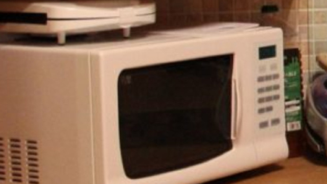 Le notizie pi&ugrave; strane del 2017: da chi si &egrave; cementato la testa nel microonde, a chi ha vissuto per 3 anni su una palma.