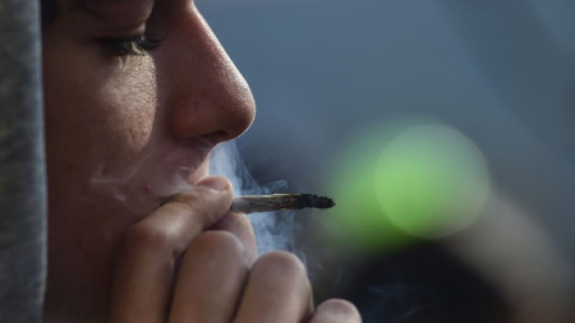 I giovani italiani sono secondi in Europa per consumo di cannabis ... - fanpage.it