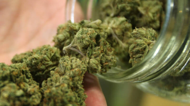 Marijuana: effetti positivi e negativi sulla nostra salute