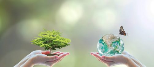 A preocupa&ccedil;&atilde;o com o crescimento econ&ocirc;mico no qual constatou-se que este poderia levar ao esgotamento dos recursos naturais