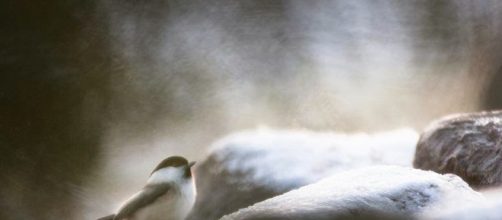 Cattell Psic&oacute;logos: Cartas a los Reyes Magos - blogspot.com