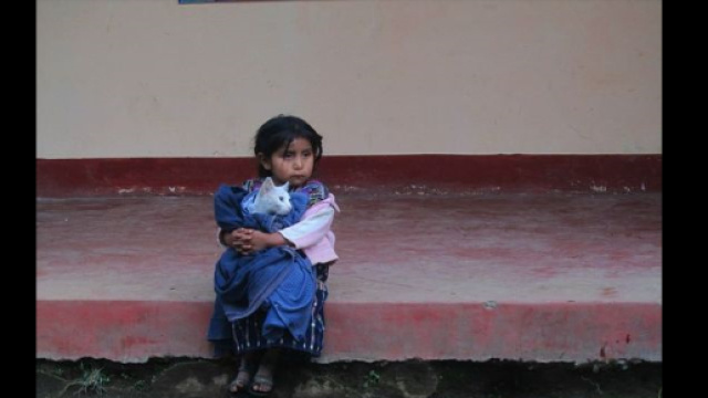 Il disturbo post-traumatico da stress pu&ograve; colpire in special modo i bambini. Fonte: Pinterest