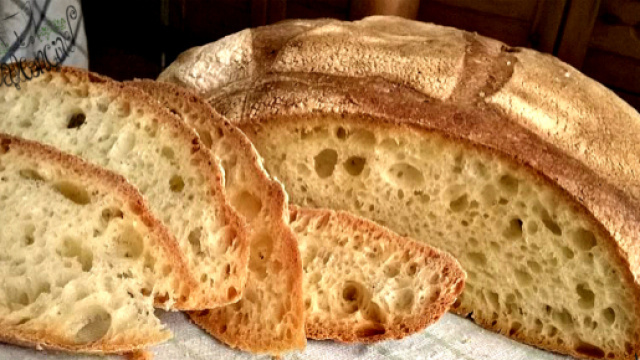 Pensionato 65enne trova una benda nel pane - ifood.it