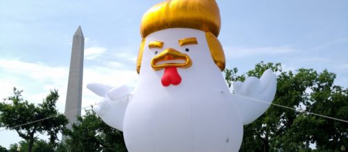 Chicken Trump/ (Image vis Dfsym/Pixabay)