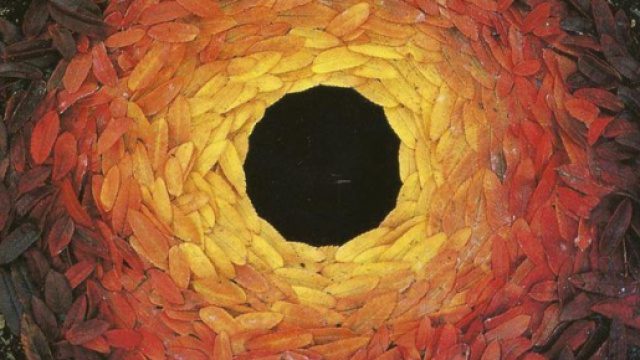 Feuilles de sorbier dispos&eacute;es autour d&rsquo;un trou - Andy Goldsworthy (1987)