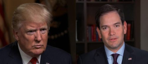 Donald Trump, Marco Rubio, via Twitter