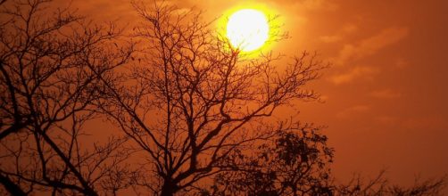 Reality and virtual reality are one thing. - [Image anish_ronaldo7 Pixabay]