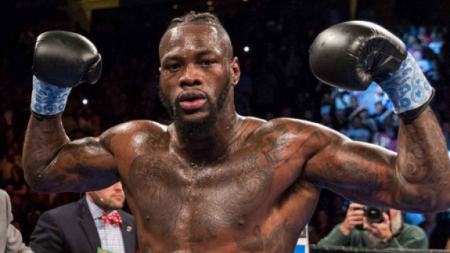 Deontay Wilder, imbattuto campione mondiale dei pesi massimi versione WBC