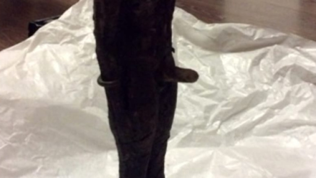 Statua fallica alla mostra sull'Egitto di Jesolo, la richiesta di - veneziatoday.it