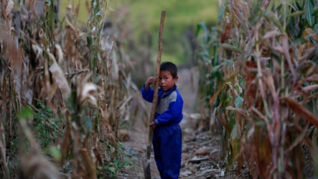 taglia l'export di petrolio verso la Corea del Nord - road2sportnews.com