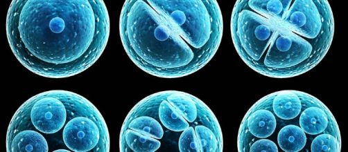 El descubrimiento del elixir de la vida