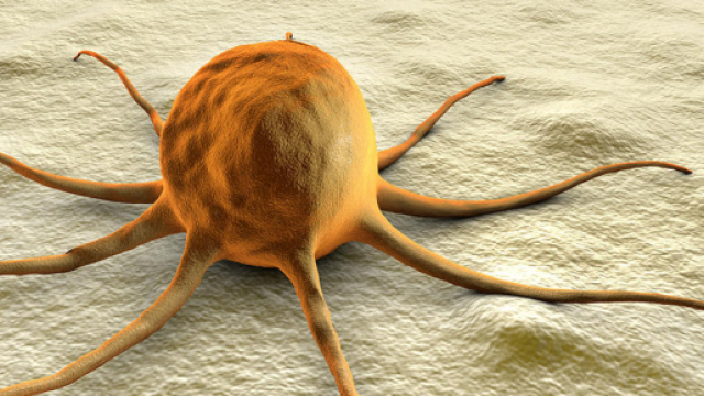 A tumor-suppressing gene can be harmful in some cancers | YaleNews - yale.edu