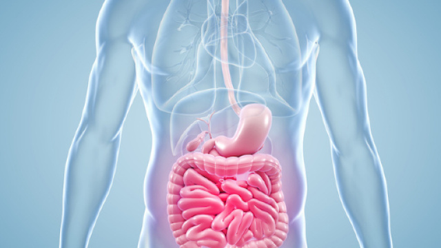 Nuova terapia per la malattia di Crohn