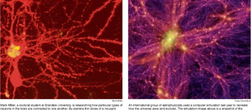Ciencia | Terabytes Libres - wordpress.com