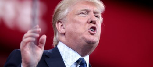 Donald Trump -- Gage Skidmore/Flickr.